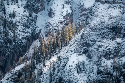 积雪覆盖着树木和山脉
